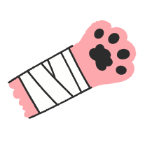 Помощь приютам и волонтерам