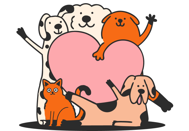 Подписка на новости